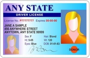 DRIVERS LICENSE, I.D Cards etc